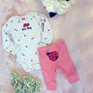 Carter’s lady bug matching set